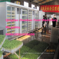 Automatic Bean Sprout Growing Machine